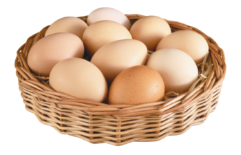 Backyard eggs